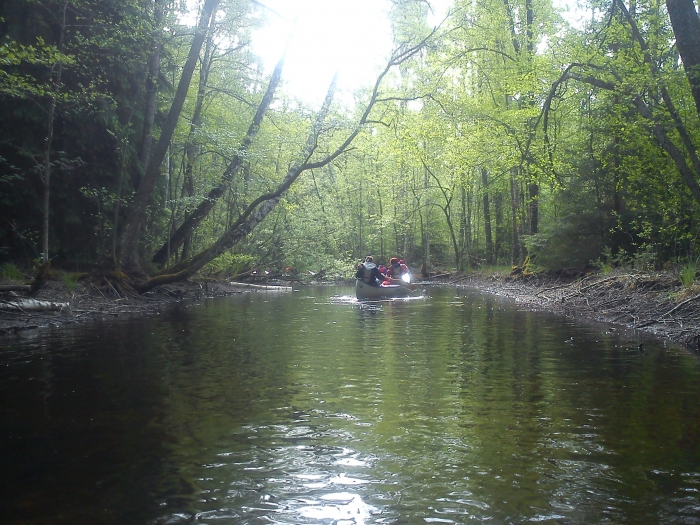 Fin paddling.