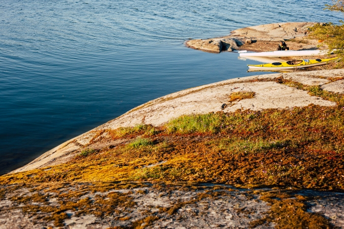 Guided kayak tour around islands of Stockholm Archipelago
