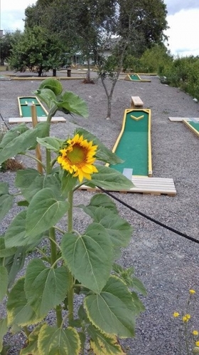 Caf Jgmstargrden - Miniature golf, Sderkping - 